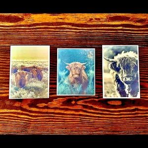 Ranch Life Highland Cow Photography, Two 5”x7” Prints, One 4”x6” Print